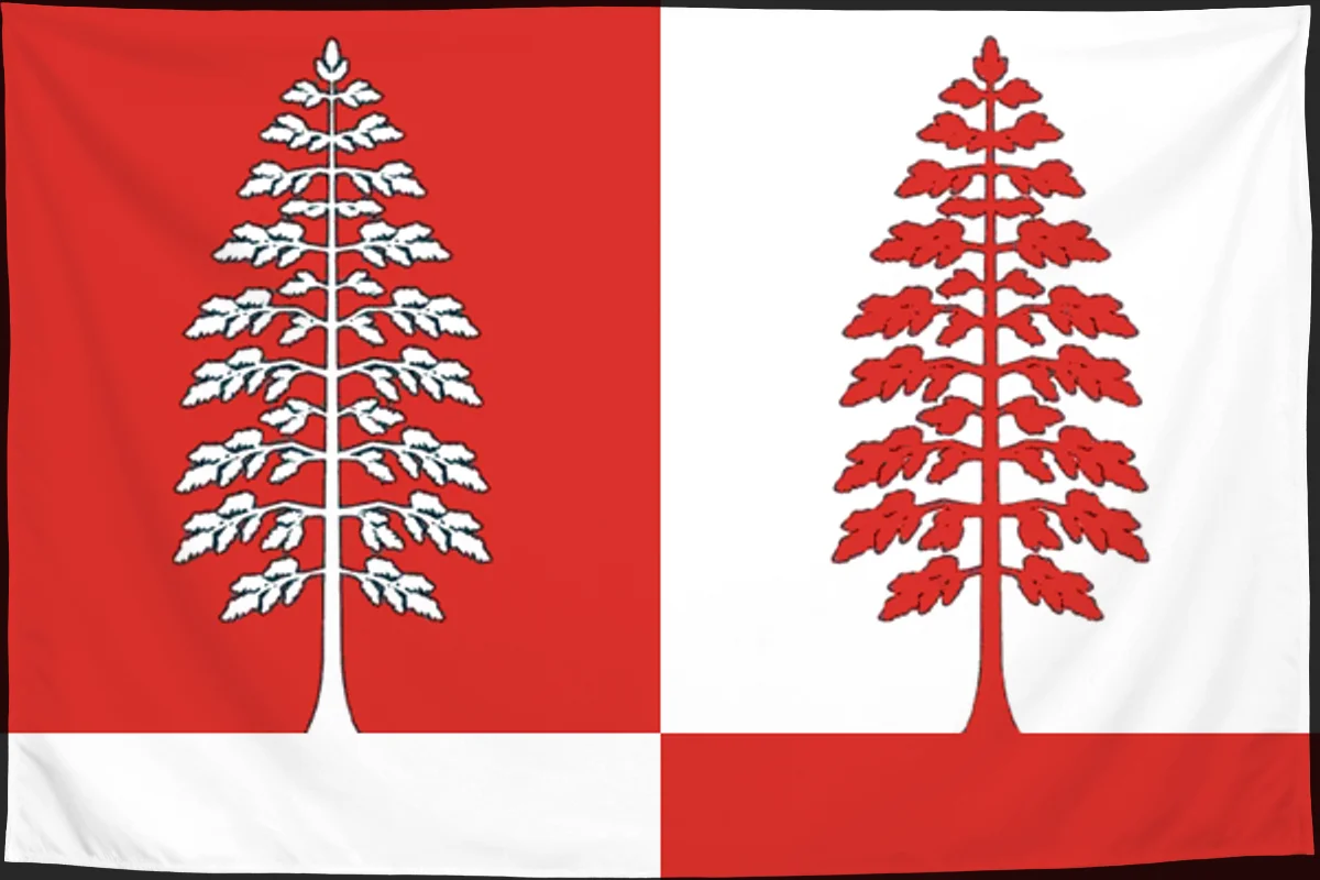 Флаг: Красноборский район